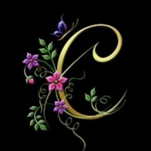 Meet your Posher, Carol